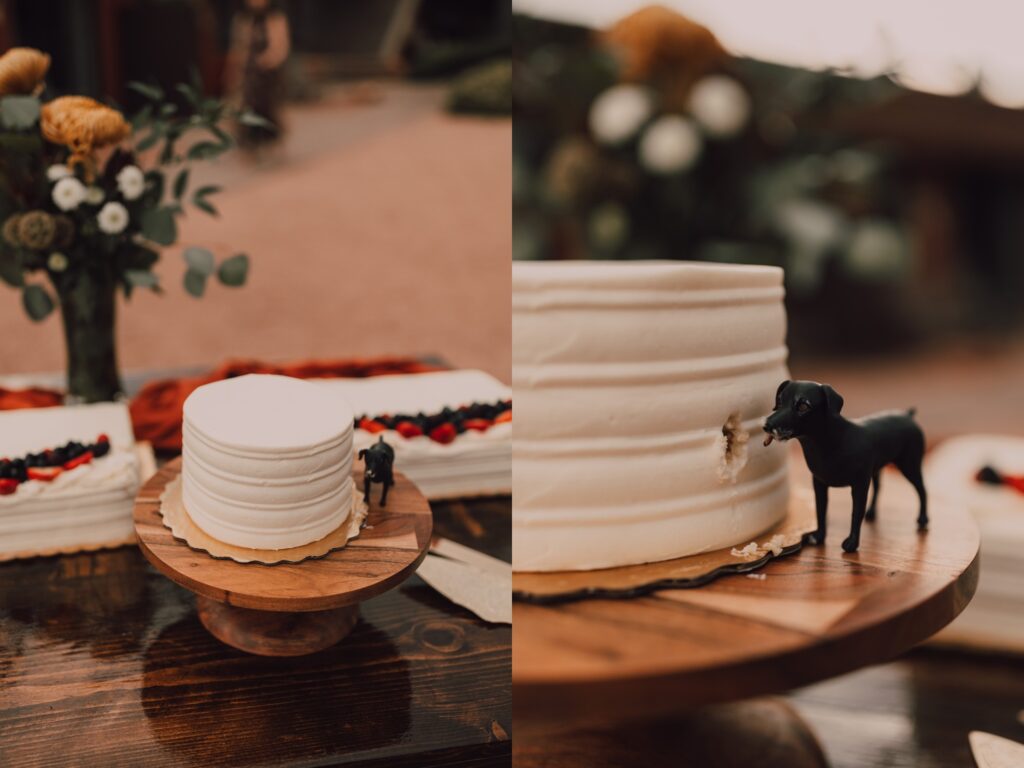 one tier white wedding cake, Sedona wedding at Red Agave Resort
