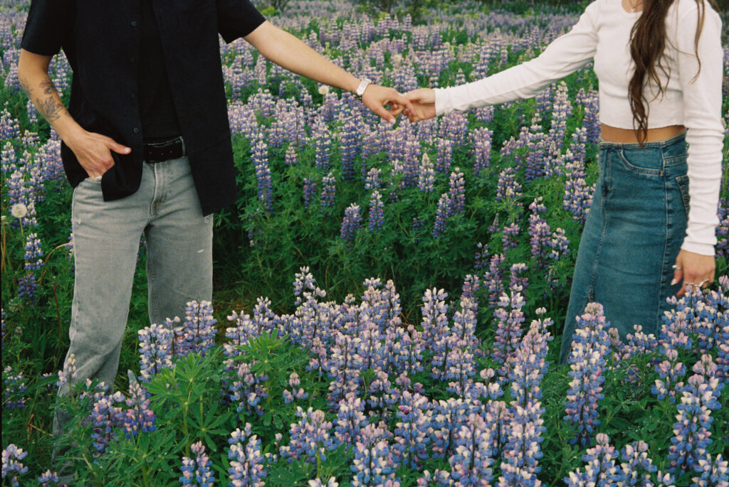 Skógafoss, Iceland couple photoshoot Lupine Fields 