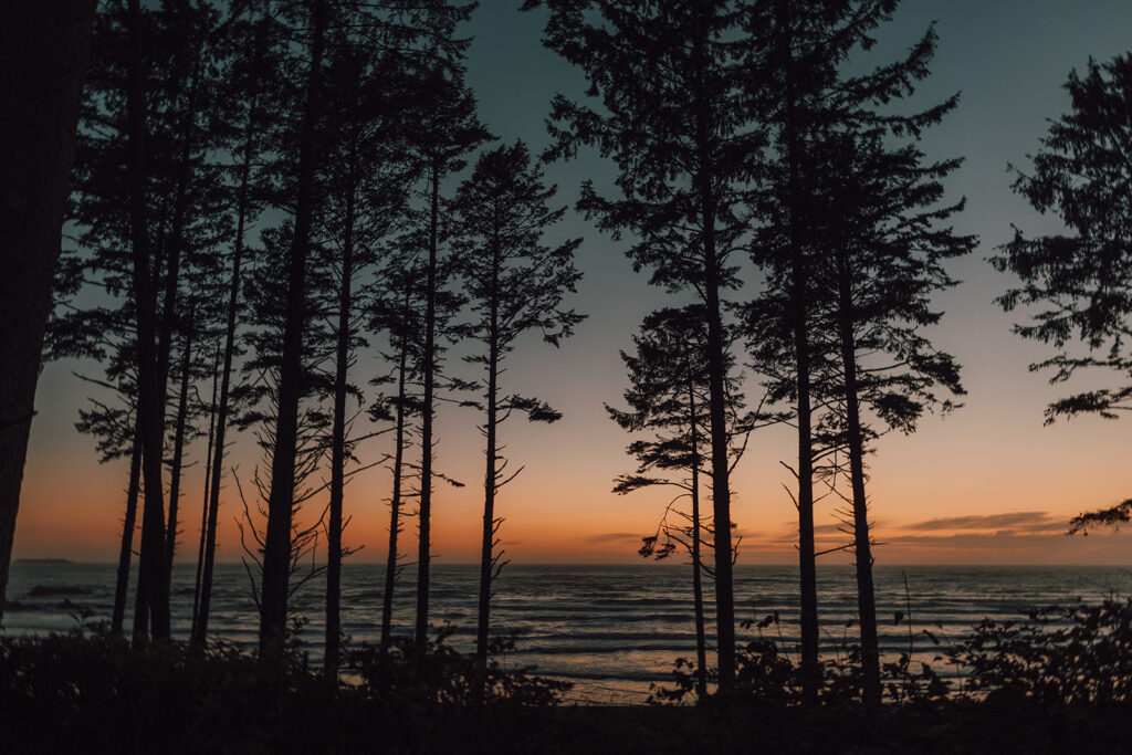 Washington Elopement Bride and Groom Olympic National Park