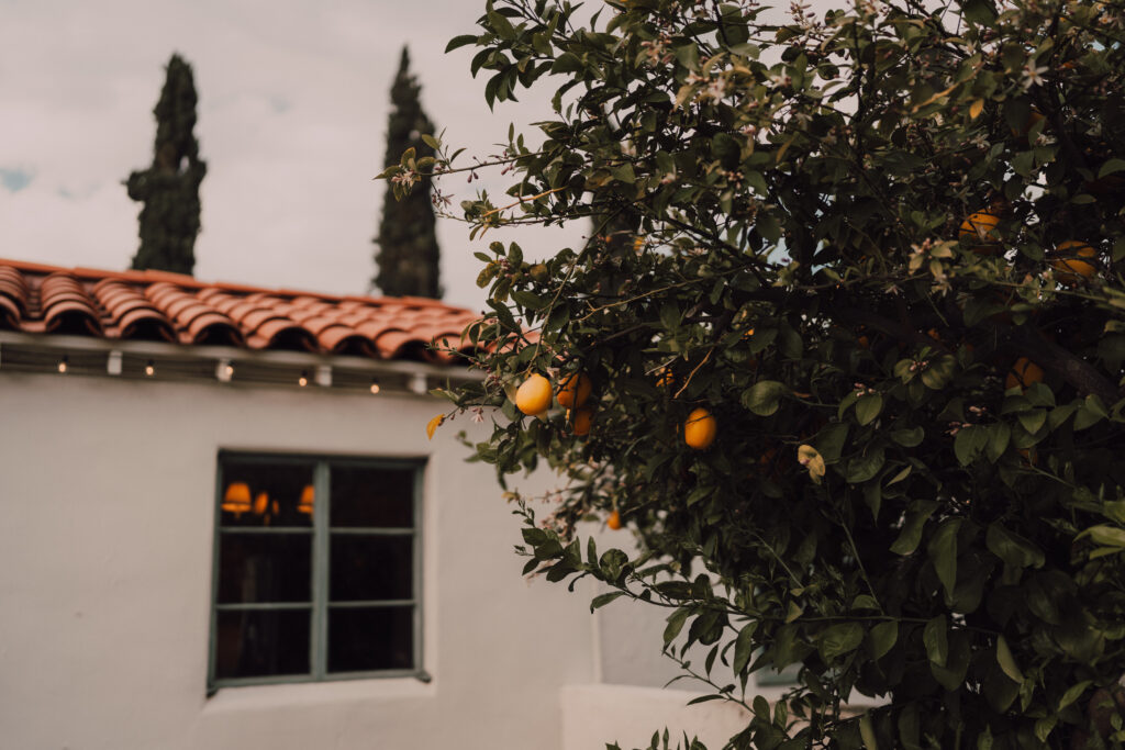 Arizona backyard wedding