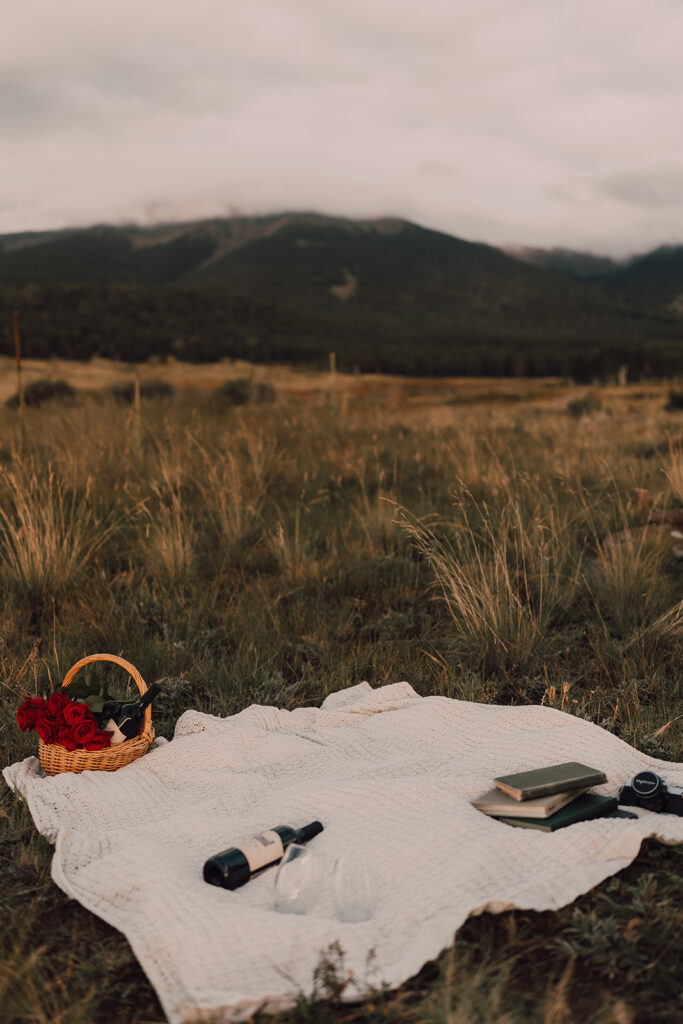 Sunset engagement session in a field with wine and props