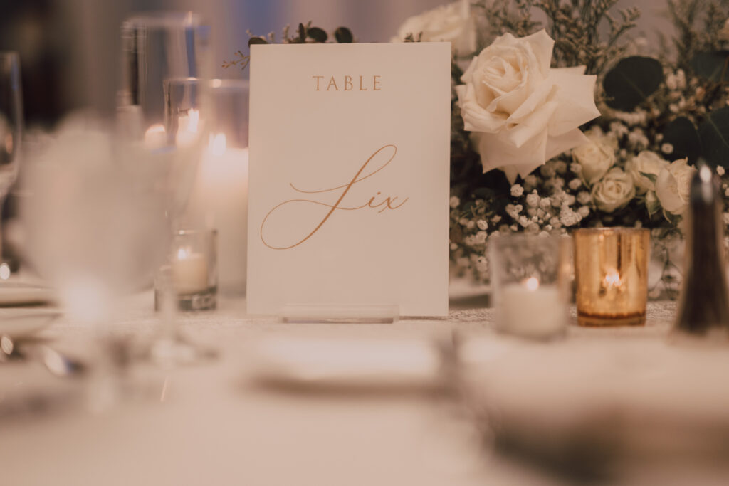 Arizona and Washington Wedding Photographer and videographer 