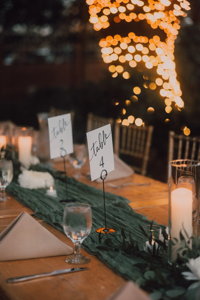 Arizona and Washington Wedding Photographer and videographer 