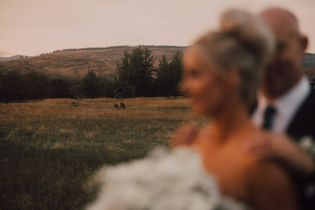 Arizona and Washington Wedding Photographer and videographer 