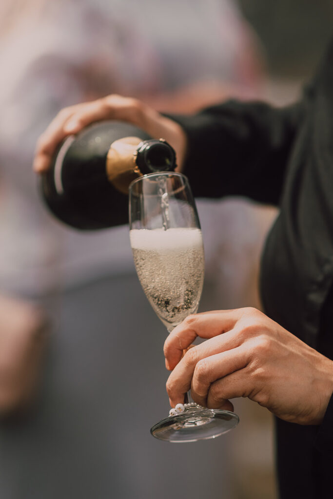 Arizona and Washington Wedding Photographer and videographer 